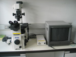 Microscope System with camera