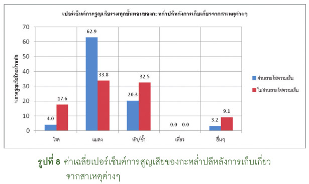 ค่าเฉลี่ยเปอร์เซ็นต์การสูญเสียของกะหล่ำปลี