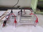 Horizontal Gel Electrophoresis with Power Supply