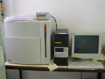 Gel Documentation Analysis System