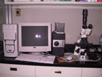 Compound microscope