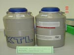 Liquid Nitrogen Tank (ถังบรรจุไนโตรเจน)