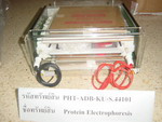 Protein Electrophoresis