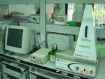 Gel Electrophoresis System