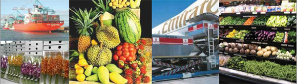 Postharvest Logistics