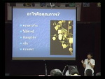 การฝึกอบรมเชิงปฏิบัติการ การจัดการหลังการเก็บเกี่ยวไม้ดอก 21 พ.ค.2553