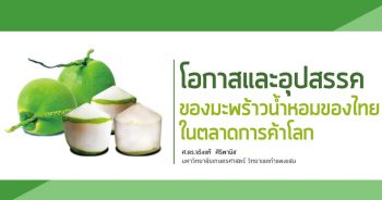 โอกาสและอุปสรรคของมะพร้าวน้ำหอมของไทย