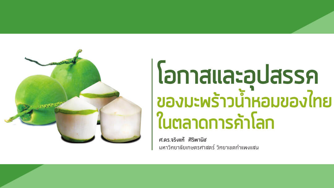 โอกาสและอุปสรรคของมะพร้าวน้ำหอมของไทย
