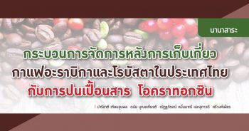 กระบวนการจัดการหลังการเก็บเกี่ยวกาแฟ