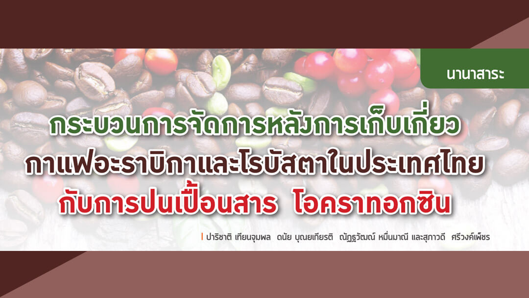 กระบวนการจัดการหลังการเก็บเกี่ยวกาแฟ