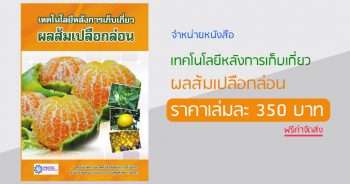 หนังสือ เทคโนโลยีหลังการเก็บเกี่ยว ผลส้มเปลือกล่อน