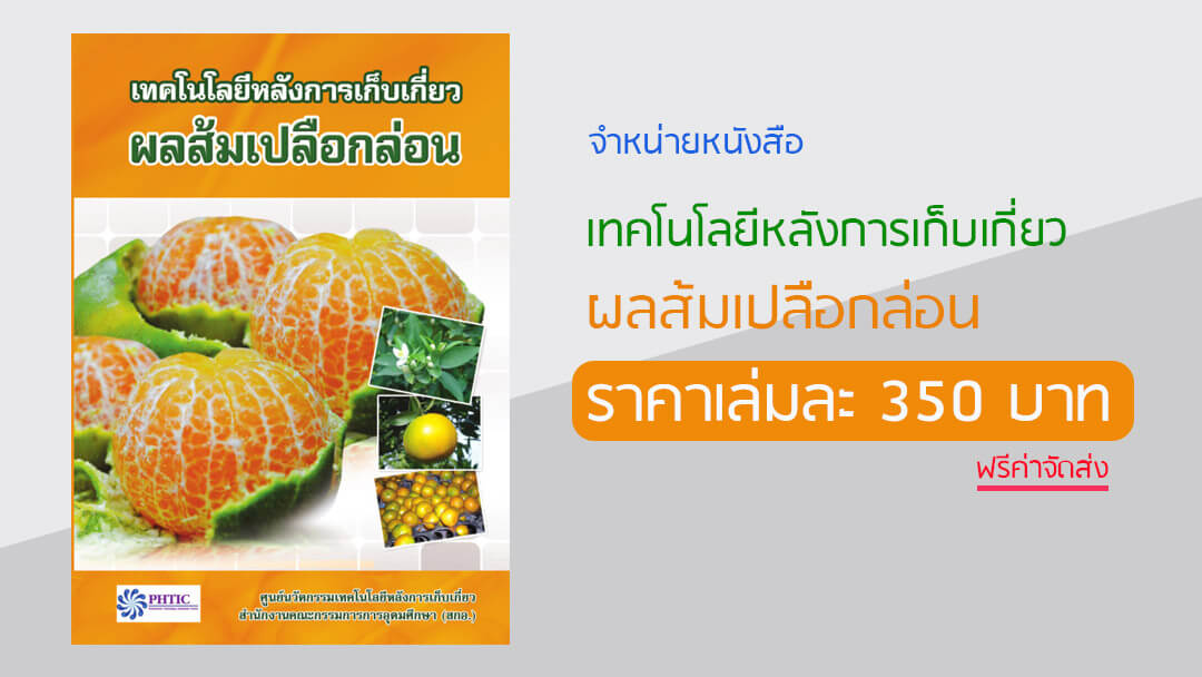 หนังสือ เทคโนโลยีหลังการเก็บเกี่ยว ผลส้มเปลือกล่อน