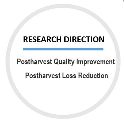 research direction