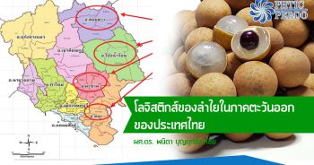 โลจิสติกส์ของลำไยในภาคตะวันออกของประเทศไทย