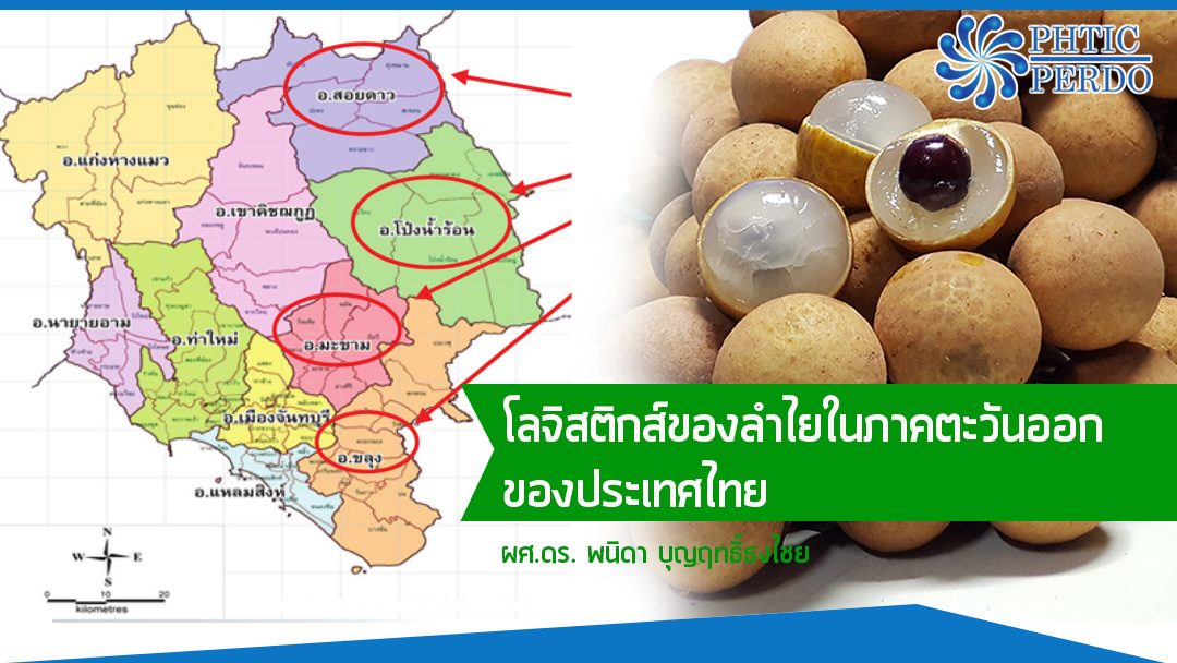 โลจิสติกส์ของลำไยในภาคตะวันออกของประเทศไทย