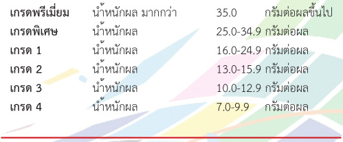 มาตรฐานของผลสตรอว์เบอร์รี