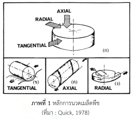 หลักการนวดเมล็ดพืช