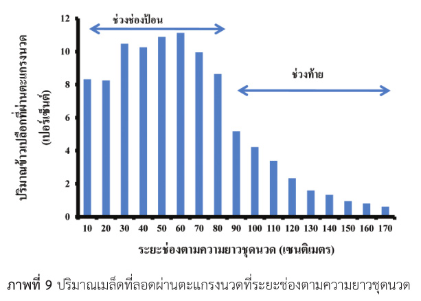 ปริมาณเมล็ดที่ลอดผ่านตะแกรงนวดที่ระยะช่องตามความยาวชุดนวด