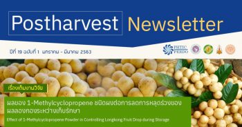 Postharvest Newsletter ปีที่ 19 ฉบับที่ 1 มกราคม - มีนาคม 2563