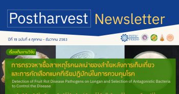 Postharvest Newsletter ปีที่ 19 ฉบับที่ 4 ตุลาคม - ธันวาคม 2563