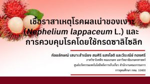 เชื้อราสาเหตุโรคผลเน่าของเงาะ