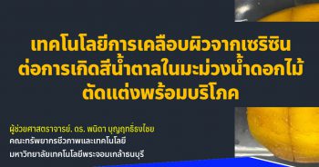 ต้นแบบผลิตภัณฑ์ซองปลดปล่อยไอเอทานอลและบรรจุภัณฑ์ค้าปลีกของมะม่วงน้าดอกไม้สุก