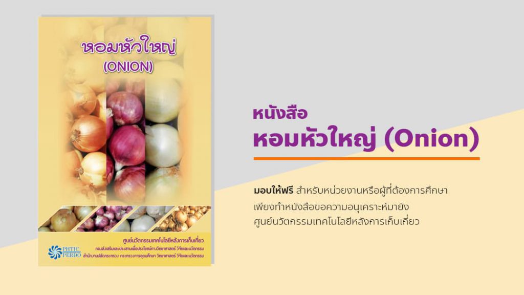 หอมหัวใหญ่ (Onion)