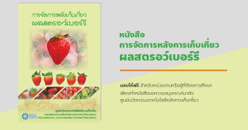 การจัดการหลังการเก็บเกี่ยวผลสตรอว์เบอร์รี