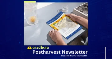 Postharvest Newsletter ปีที่ 22 ฉบับที่ 4 ตุลาคม - ธันวาคม 2566