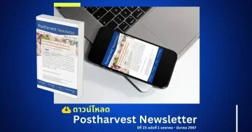 Postharvest Newsletter ปีที่ 23 ฉบับที่ 1 มกราคม - มีนาคม 2567