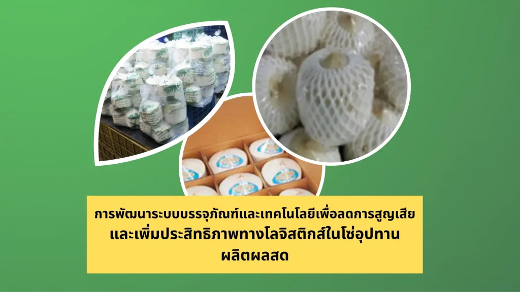 การพัฒนาระบบบรรจุภัณฑ์และเทคโนโลยีเพื่อลดการสูญเสีย