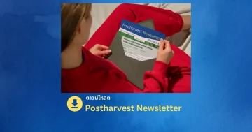 Postharvest Newsletter ปีที่ 24 ฉบับที่ 2 เมษายน - มิถุนายน 2568